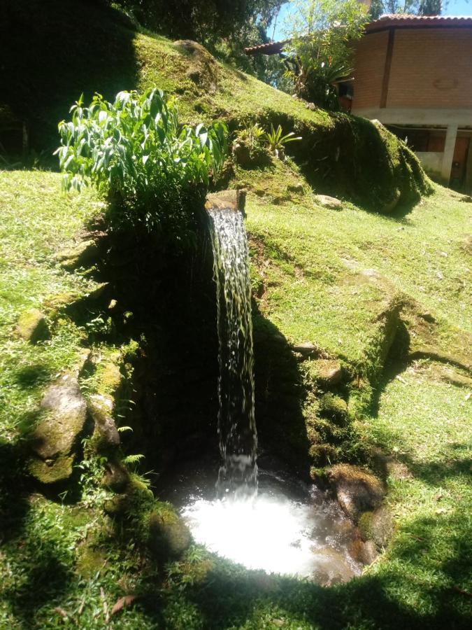 Chale Truta Da Floresta Visconde de Mauá Eksteriør bilde