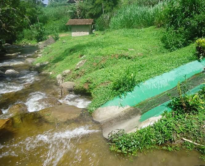 Chale Truta Da Floresta Visconde de Mauá Eksteriør bilde