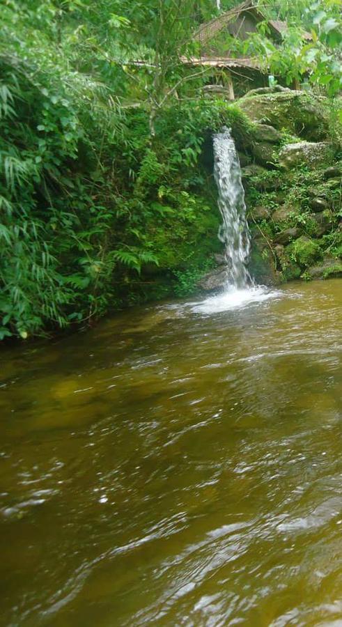 Chale Truta Da Floresta Visconde de Mauá Eksteriør bilde